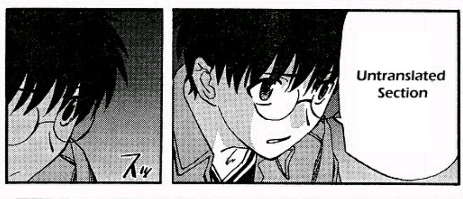 Panel from the manga, "Tsukihime", with a speech bubble that says "Untranslated Section"